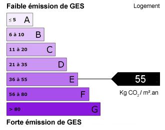 e 55